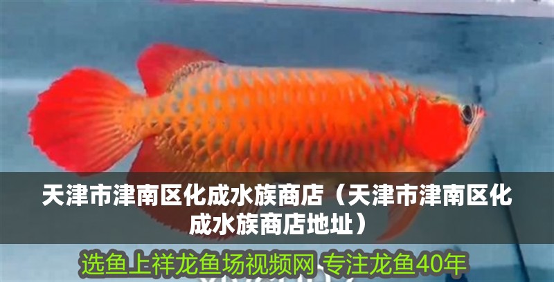 天津市津南區(qū)化成水族商店（天津市津南區(qū)化成水族商店地址）