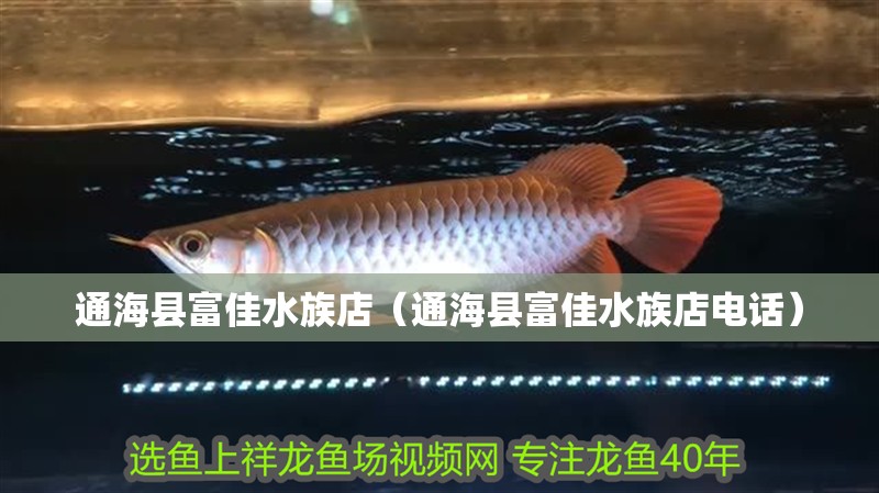 通海縣富佳水族店（通?？h富佳水族店電話）