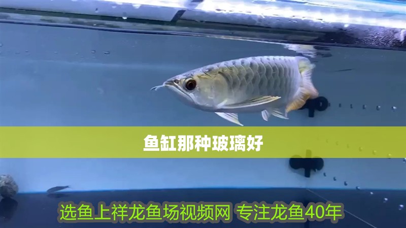 魚缸那種玻璃好