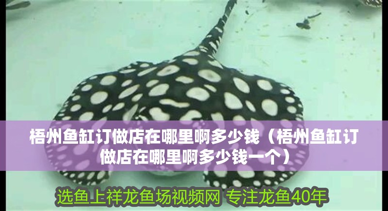 梧州魚缸訂做店在哪里啊多少錢（梧州魚缸訂做店在哪里啊多少錢一個）