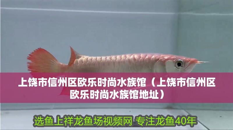 上饒市信州區歐樂時尚水族館（上饒市信州區歐樂時尚水族館地址）