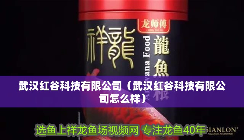 武漢紅谷科技有限公司（武漢紅谷科技有限公司怎么樣）