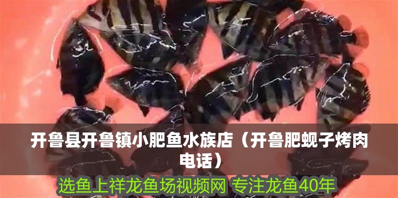 開魯縣開魯鎮小肥魚水族店（開魯肥蜆子烤肉電話）
