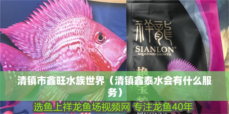 清鎮(zhèn)市鑫旺水族世界（清鎮(zhèn)鑫泰水會有什么服務(wù)）