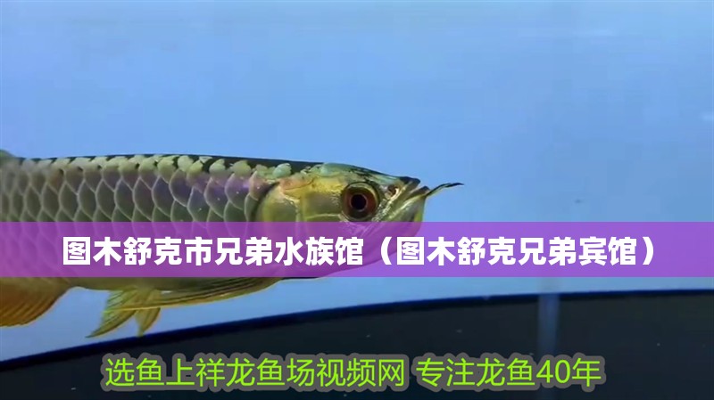 圖木舒克市兄弟水族館（圖木舒克兄弟賓館）