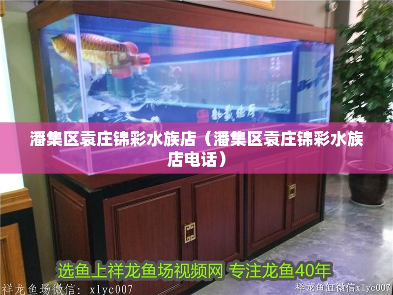 潘集區(qū)袁莊錦彩水族店（潘集區(qū)袁莊錦彩水族店電話） 潘集區(qū)袁莊錦彩水族店（潘集區(qū)袁莊錦彩水族店電話） 全國(guó)水族館企業(yè)名錄 第2張