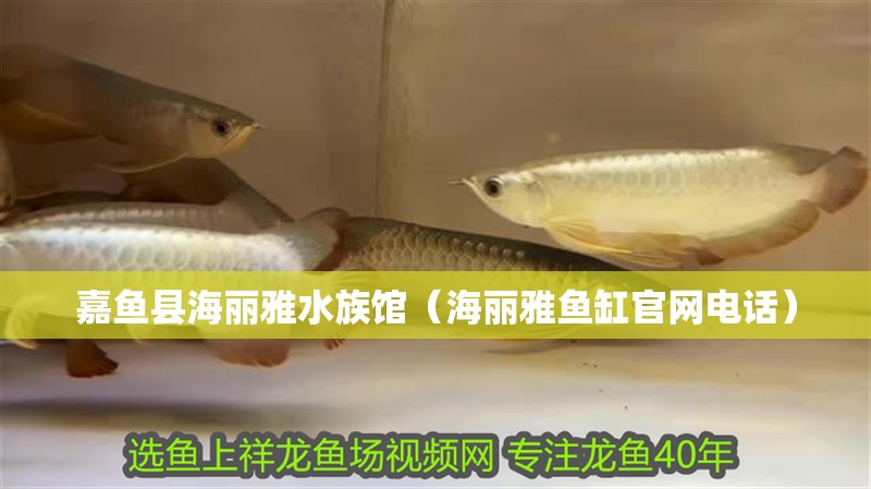 嘉魚縣海麗雅水族館（海麗雅魚缸官網電話）