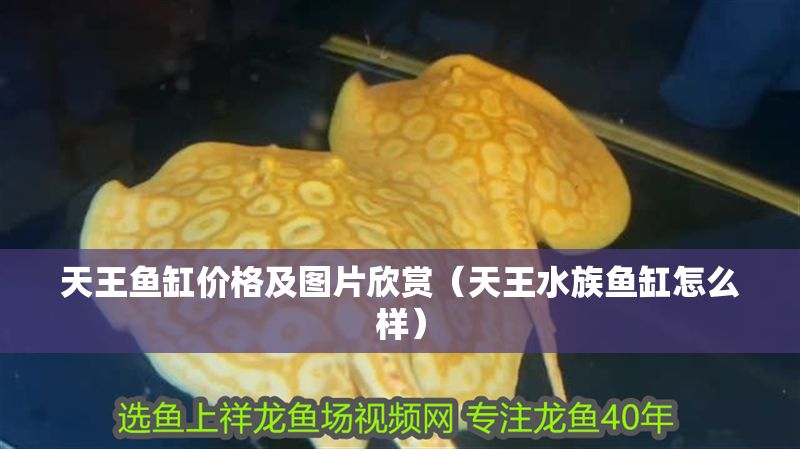 天王魚缸價格及圖片欣賞（天王水族魚缸怎么樣）