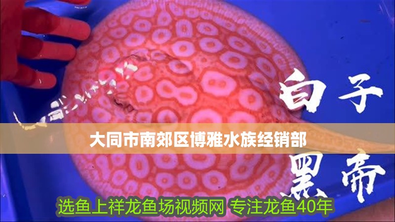 大同市南郊區博雅水族經銷部