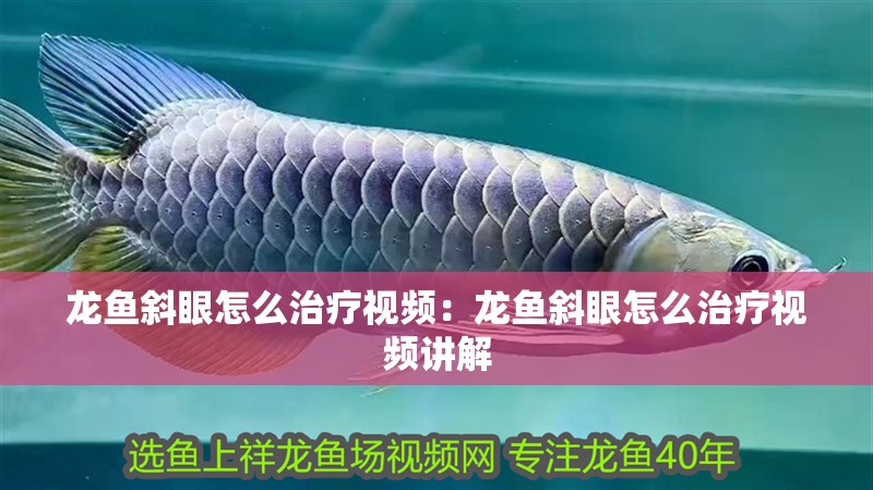 龍魚斜眼怎么治療視頻：龍魚斜眼怎么治療視頻講解