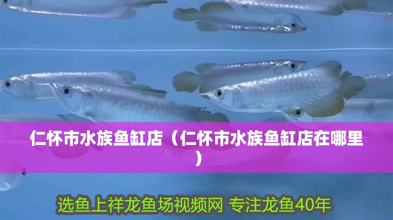 仁懷市水族魚缸店（仁懷市水族魚缸店在哪里）