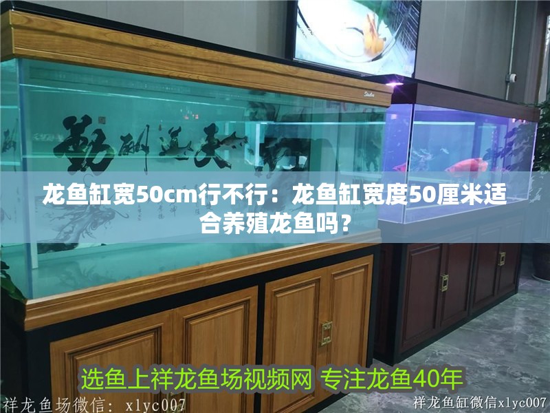 龍魚缸寬50cm行不行：龍魚缸寬度50厘米適合養(yǎng)殖龍魚嗎？
