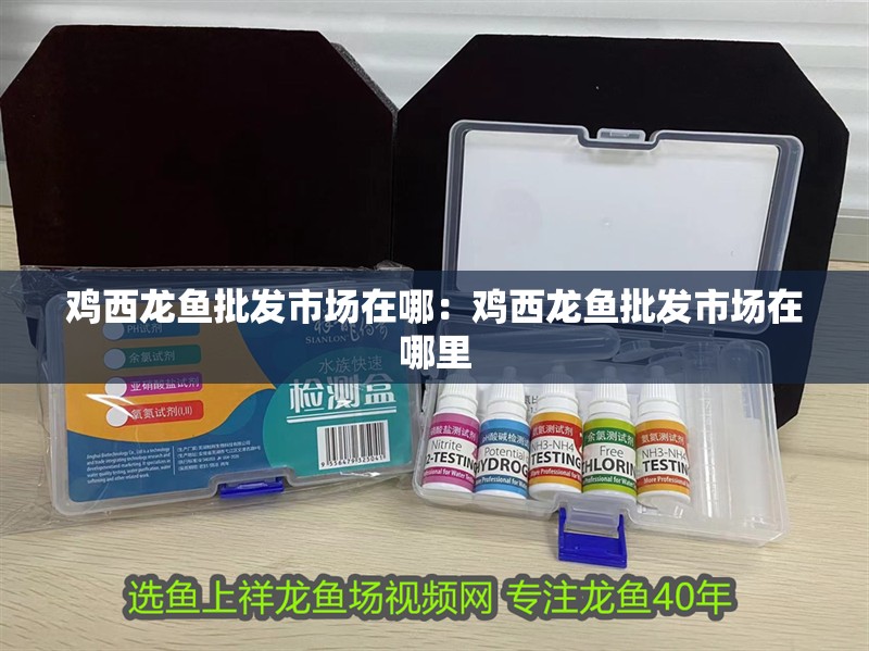 雞西龍魚批發市場在哪：雞西龍魚批發市場在哪里