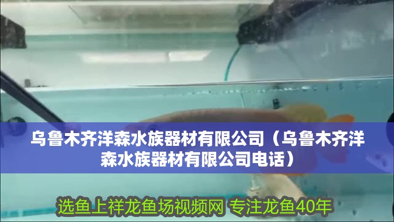 烏魯木齊洋森水族器材有限公司（烏魯木齊洋森水族器材有限公司電話）