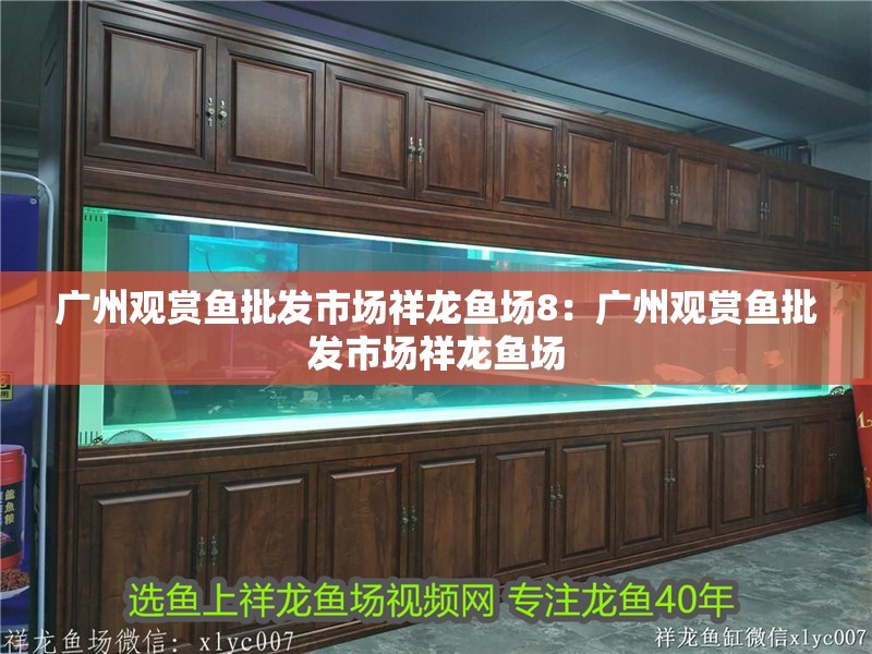 廣州觀賞魚批發(fā)市場(chǎng)祥龍魚場(chǎng)8：廣州觀賞魚批發(fā)市場(chǎng)祥龍魚場(chǎng)