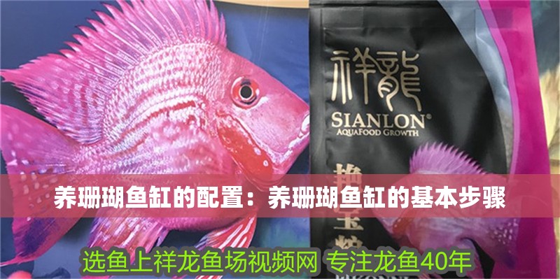 養珊瑚魚缸的配置：養珊瑚魚缸的基本步驟