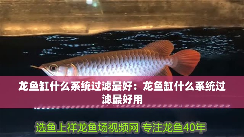 龍魚缸什么系統過濾最好：龍魚缸什么系統過濾最好用