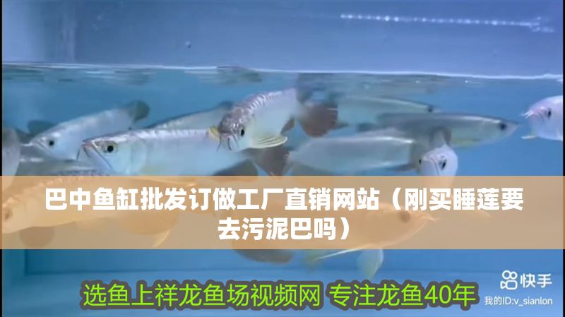 巴中魚缸批發訂做工廠直銷網站（剛買睡蓮要去污泥巴嗎）