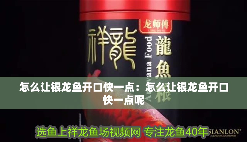 怎么讓銀龍魚開口快一點：怎么讓銀龍魚開口快一點呢