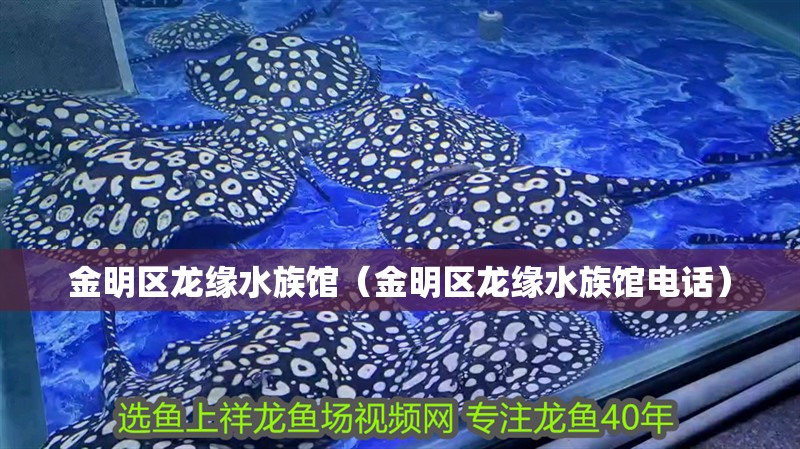 金明區(qū)龍緣水族館（金明區(qū)龍緣水族館電話）