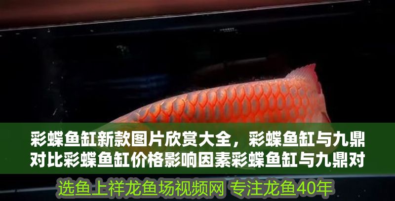 彩蝶魚缸新款圖片欣賞大全，彩蝶魚缸與九鼎對比彩蝶魚缸價格影響因素彩蝶魚缸與九鼎對比