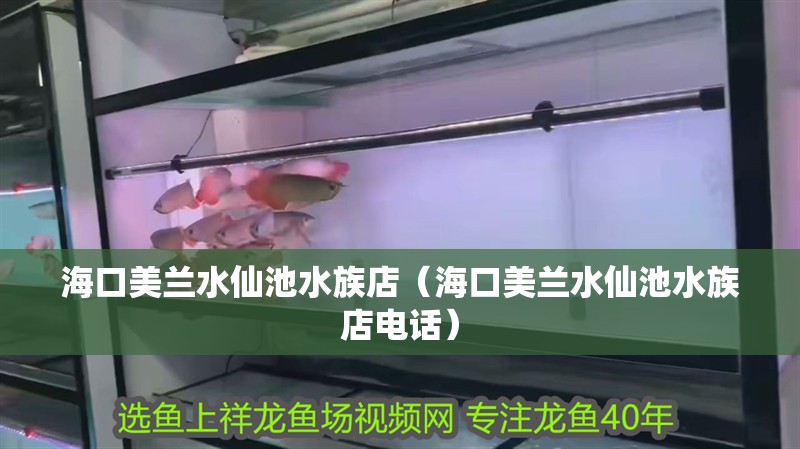 ?？诿捞m水仙池水族店（?？诿捞m水仙池水族店電話）