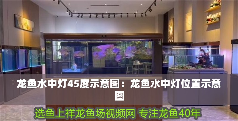 龍魚水中燈45度示意圖：龍魚水中燈位置示意圖