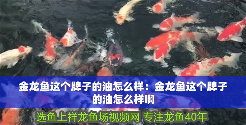 金龍魚這個牌子的油怎么樣：金龍魚這個牌子的油怎么樣啊