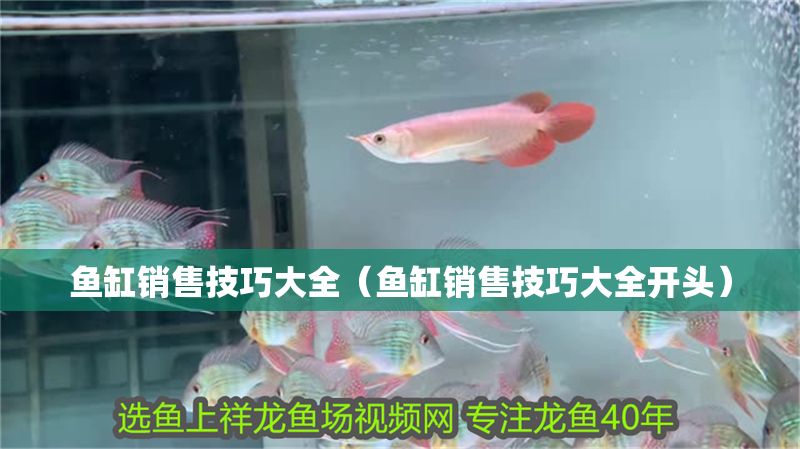 魚缸銷售技巧大全（魚缸銷售技巧大全開頭）
