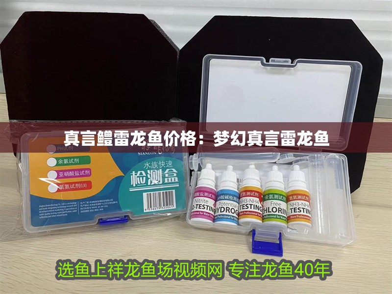 真言鱧雷龍魚價格：夢幻真言雷龍魚