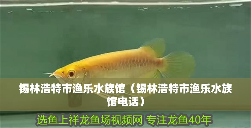 錫林浩特市漁樂水族館（錫林浩特市漁樂水族館電話）