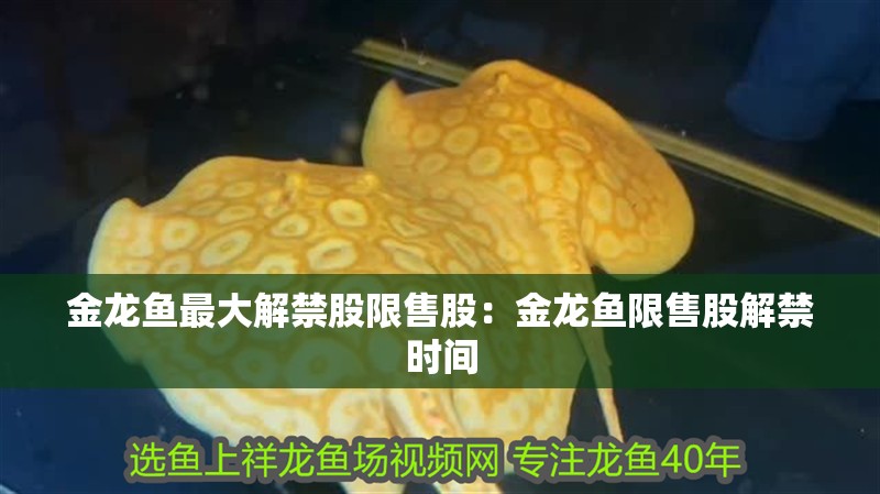 金龍魚最大解禁股限售股：金龍魚限售股解禁時間