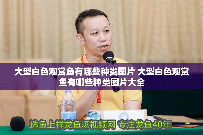 詳細(xì)閱讀:大型白色觀賞魚有哪些種類圖片 大型白色觀賞魚有哪些種類圖片大全 大型白色觀賞魚有哪些種類圖片 大型白色觀賞魚有哪些種類圖片大全