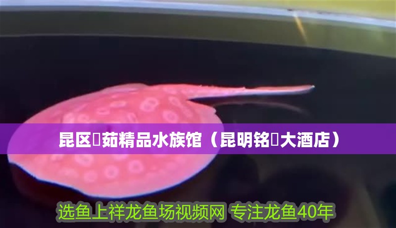 昆區(qū)銘茹精品水族館（昆明銘伈大酒店）