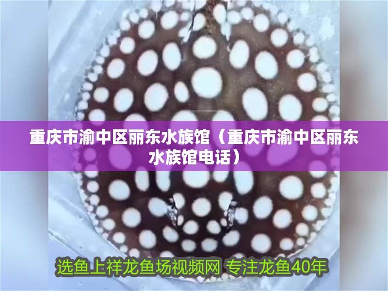 重慶市渝中區麗東水族館（重慶市渝中區麗東水族館電話）