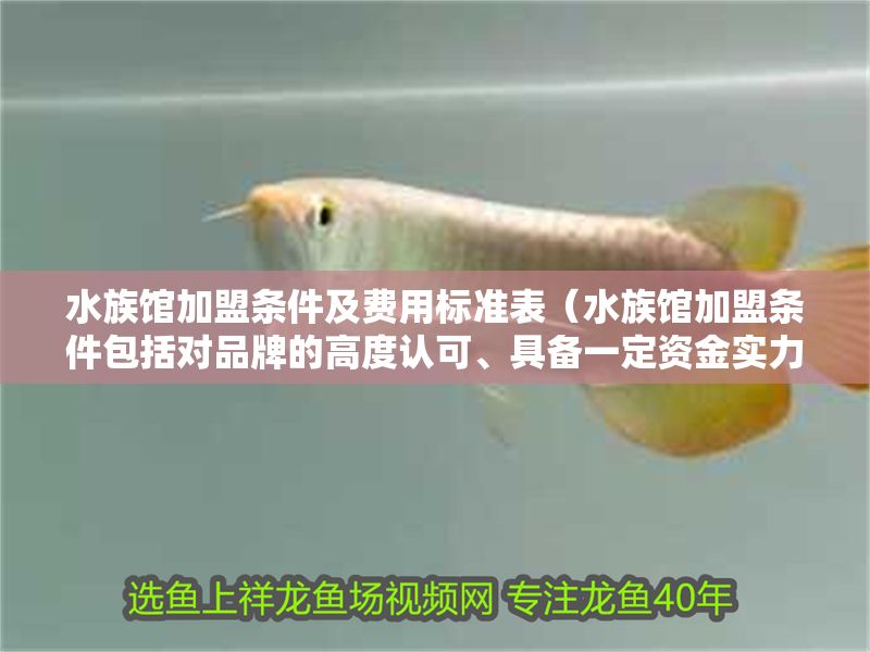 水族館加盟條件及費用標準表（水族館加盟條件包括對品牌的高度認可、具備一定資金實力）