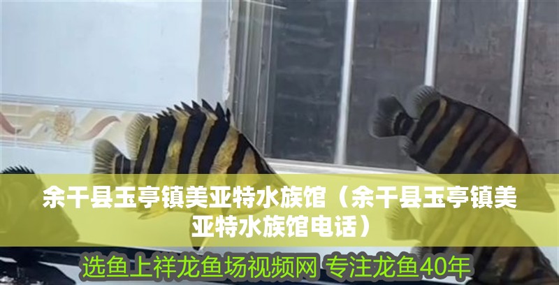 余干縣玉亭鎮美亞特水族館（余干縣玉亭鎮美亞特水族館電話）
