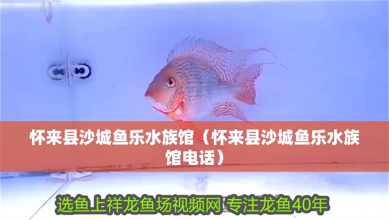 懷來(lái)縣沙城魚(yú)樂(lè)水族館（懷來(lái)縣沙城魚(yú)樂(lè)水族館電話）
