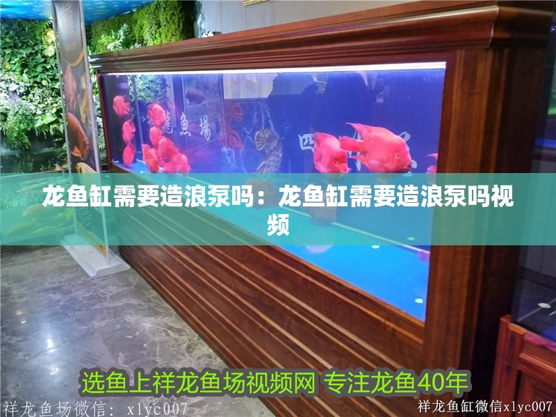 龍魚缸需要造浪泵嗎：龍魚缸需要造浪泵嗎視頻
