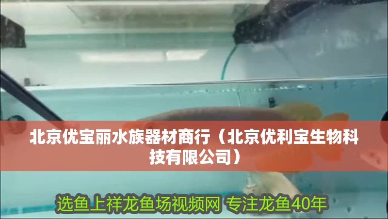 北京優(yōu)寶麗水族器材商行（北京優(yōu)利寶生物科技有限公司）