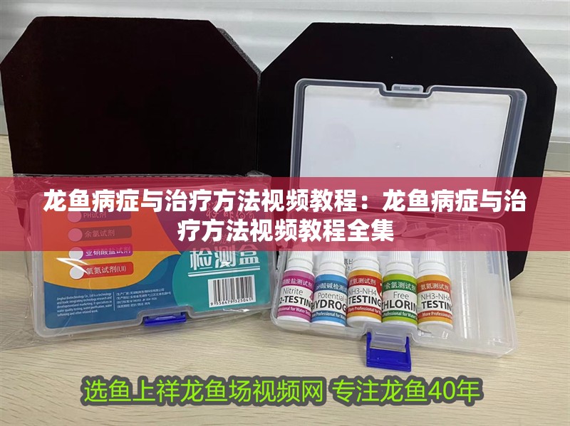 魚缸放幾條黑色的魚（魚缸放幾條黑色的魚好）