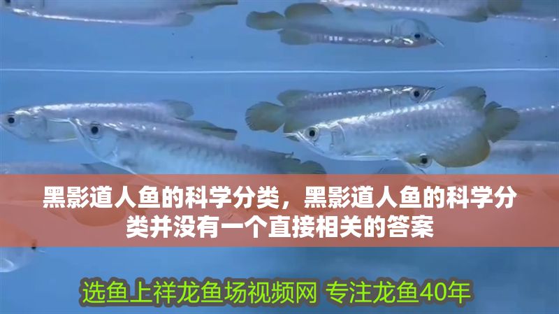 黑影道人魚的科學分類，黑影道人魚的科學分類并沒有一個直接相關(guān)的答案