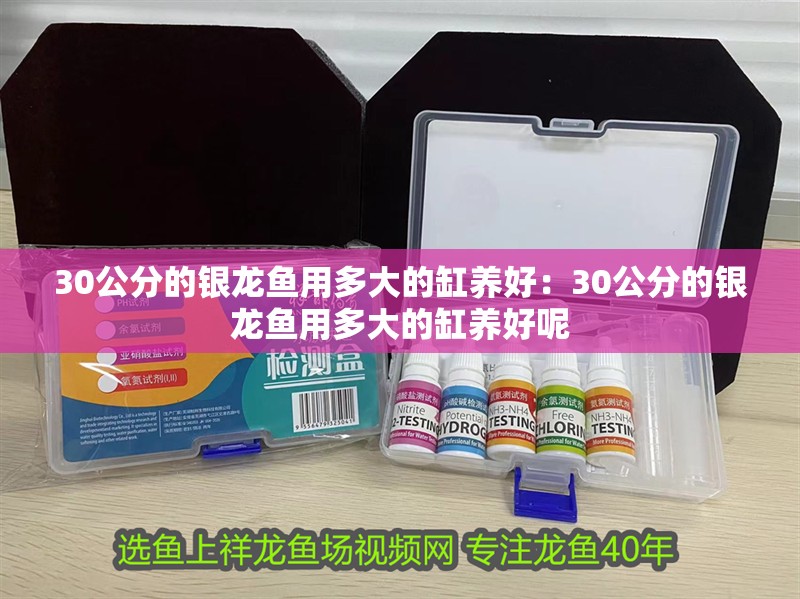30公分的銀龍魚用多大的缸養(yǎng)好：30公分的銀龍魚用多大的缸養(yǎng)好呢 30公分的銀龍魚用多大的缸養(yǎng)好：30公分的銀龍魚用多大的缸養(yǎng)好呢 水族問答