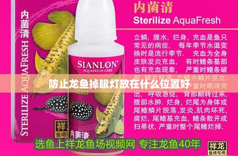 防止龍魚掉眼燈放在什么位置好