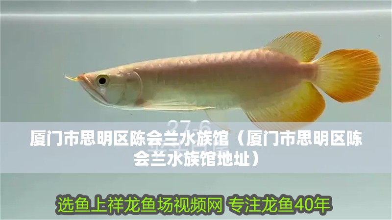 廈門市思明區陳會蘭水族館（廈門市思明區陳會蘭水族館地址）