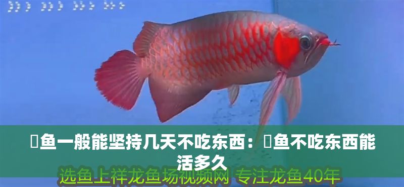 魟魚一般能堅持幾天不吃東西：魟魚不吃東西能活多久