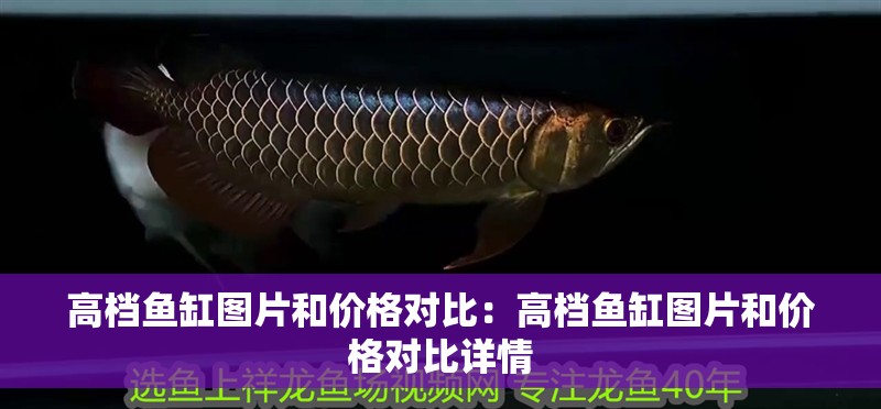 高檔魚缸圖片和價格對比：高檔魚缸圖片和價格對比詳情