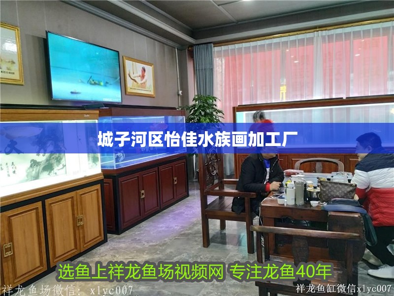 城子河區(qū)怡佳水族畫加工廠