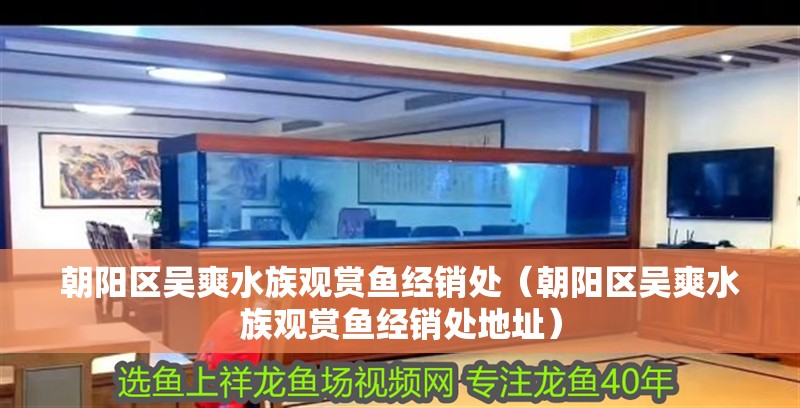 朝陽區吳爽水族觀賞魚經銷處（朝陽區吳爽水族觀賞魚經銷處地址）