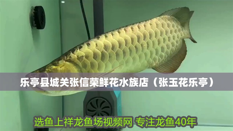 樂亭縣城關張信榮鮮花水族店（張玉花樂亭）